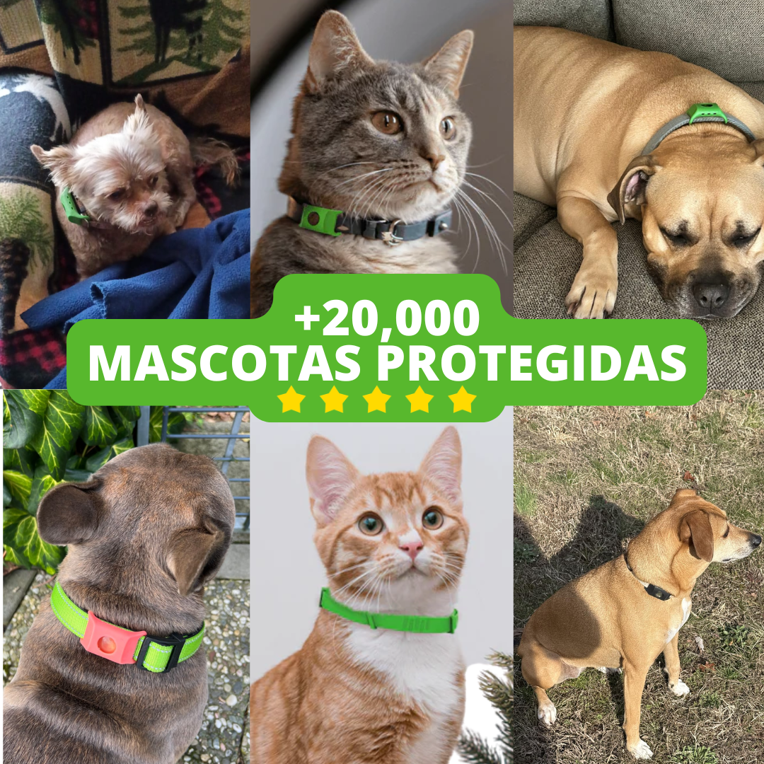 PawShield™ Placa natural contra plagas